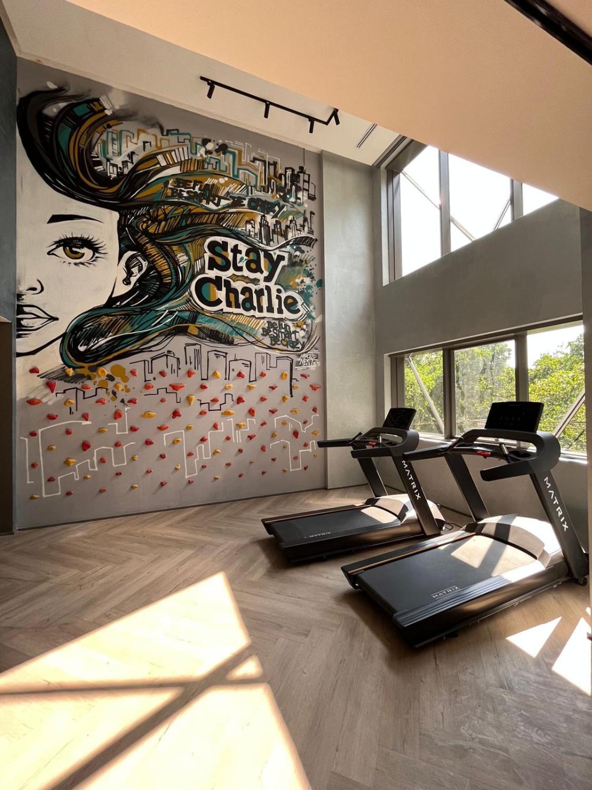 Iconyc Charlie Ibirapuera Hotel 圣保罗 外观 照片